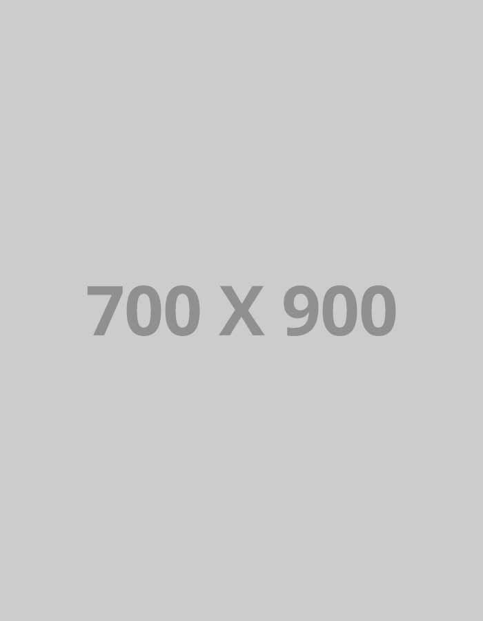 Portfolio title 19