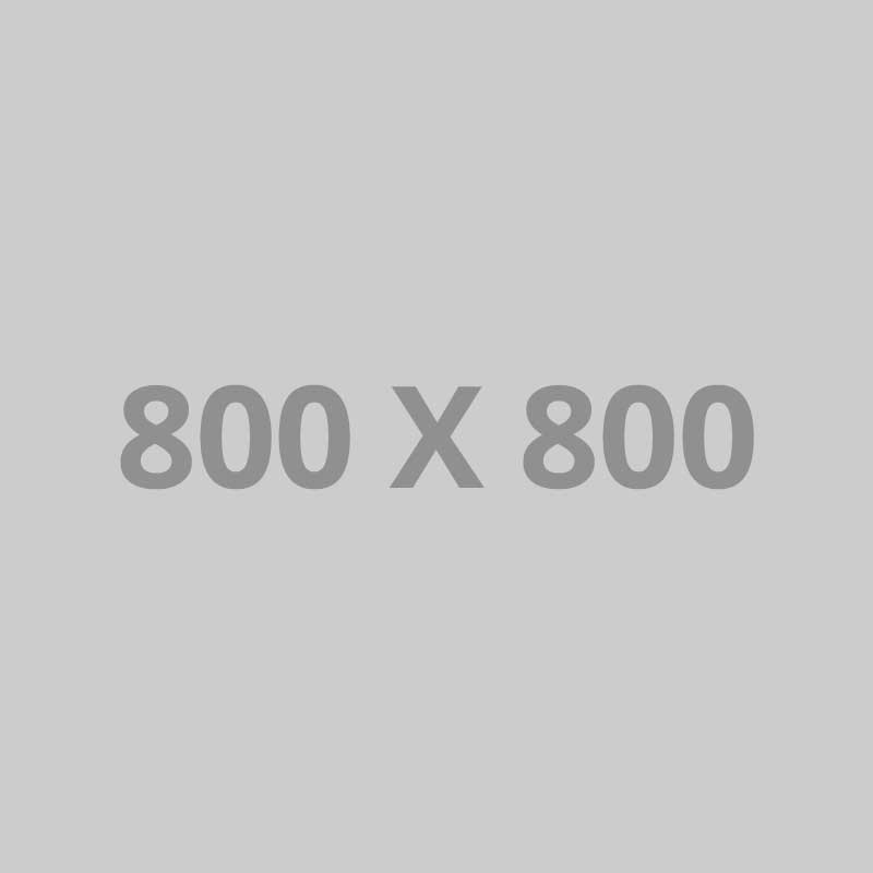 Portfolio title 23